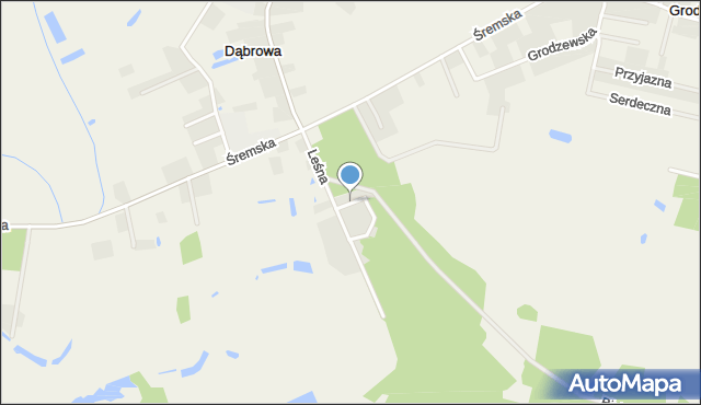 Dąbrowa gmina Śrem, Sosnowa, mapa Dąbrowa gmina Śrem