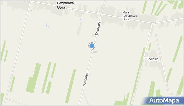 Grzybowa Góra, Sosnowa, mapa Grzybowa Góra