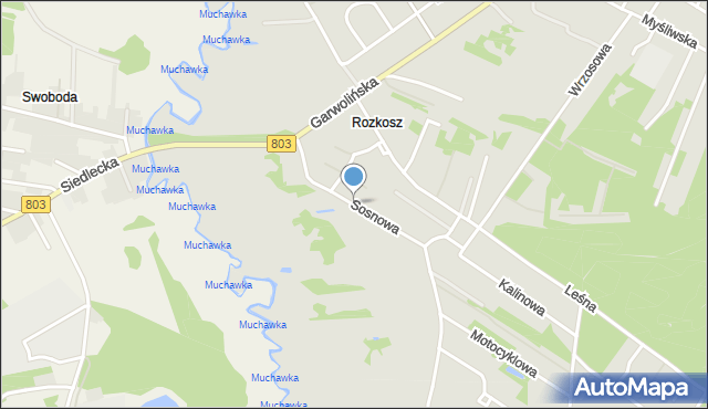 Siedlce, Sosnowa, mapa Siedlce