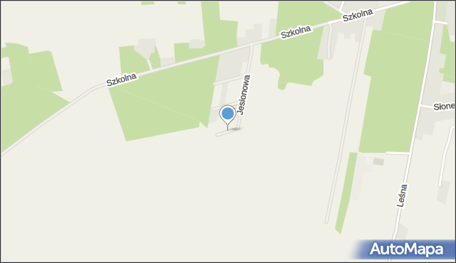 Siedlec powiat wolsztyński, Sosnowa, mapa Siedlec powiat wolsztyński