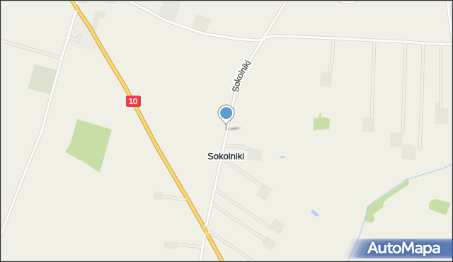 Sokolniki gmina Drobin, Sokolniki, mapa Sokolniki gmina Drobin