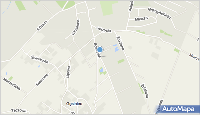 Strzelin, Sosnowa, mapa Strzelin