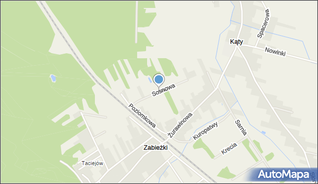 Zabieżki, Sosnowa, mapa Zabieżki