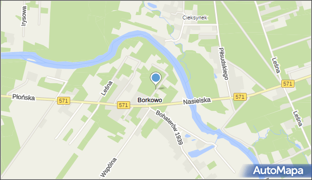 Borkowo gmina Nasielsk, Spacerowa, mapa Borkowo gmina Nasielsk