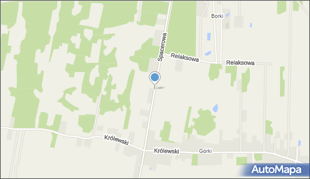 Borzęcin Duży, Spacerowa, mapa Borzęcin Duży