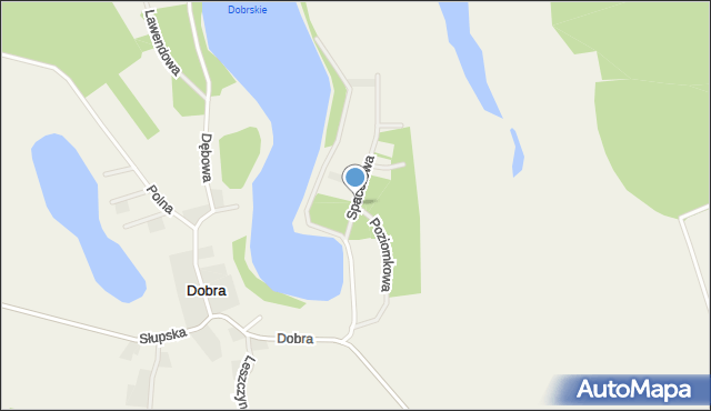 Dobra gmina Dębnica Kaszubska, Spacerowa, mapa Dobra gmina Dębnica Kaszubska