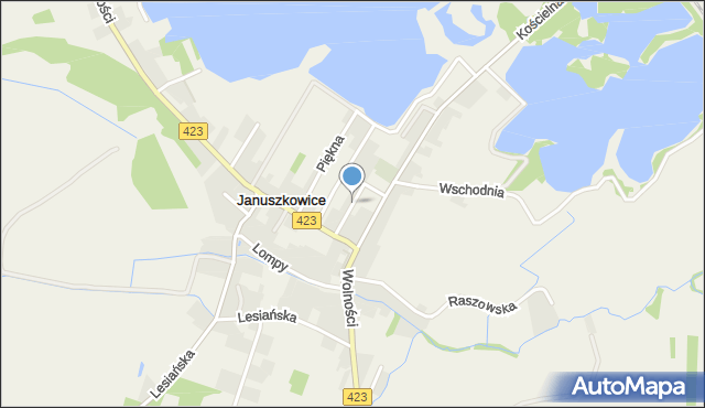Januszkowice gmina Zdzieszowice, Spokojna, mapa Januszkowice gmina Zdzieszowice