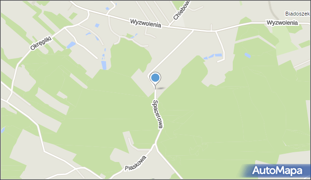 Jastrzębie-Zdrój, Spacerowa, mapa Jastrzębie-Zdrój