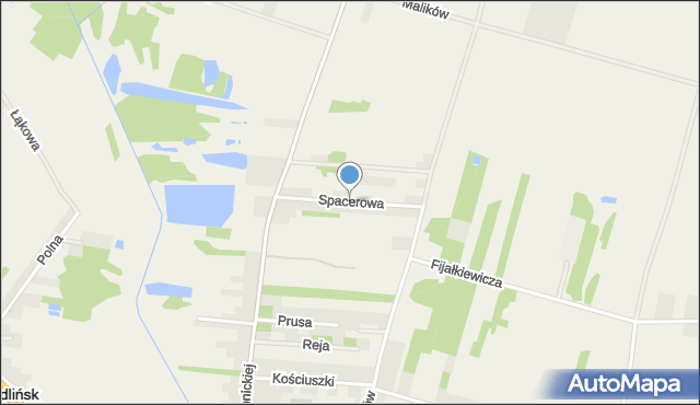 Jedlińsk, Spacerowa, mapa Jedlińsk