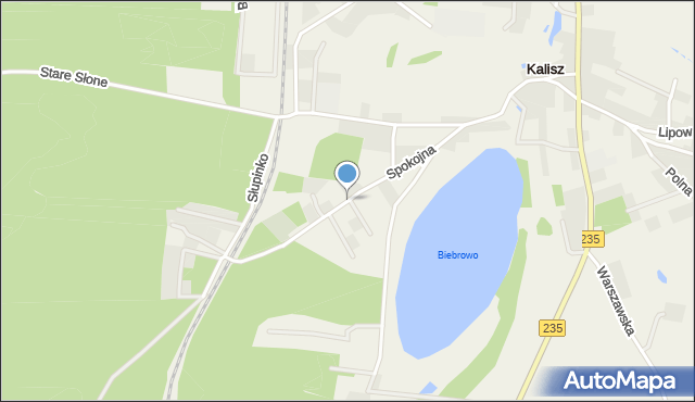 Kalisz gmina Dziemiany, Spokojna, mapa Kalisz gmina Dziemiany