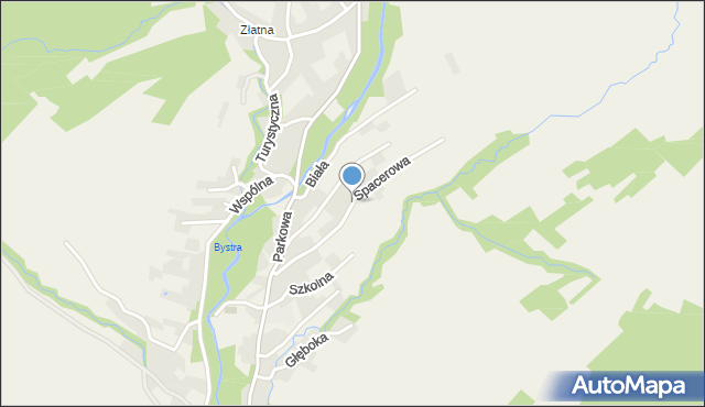 Kamesznica, Spacerowa, mapa Kamesznica