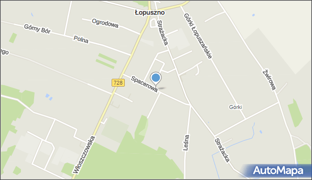 Łopuszno, Spacerowa, mapa Łopuszno