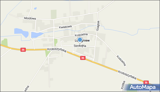 Lutogniew, Spokojna, mapa Lutogniew