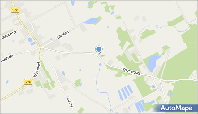 Mierzeszyn, Spacerowa, mapa Mierzeszyn