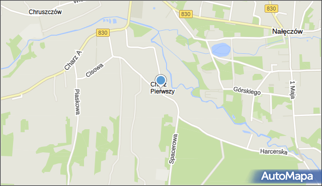 Nałęczów powiat puławski, Spacerowa, mapa Nałęczów powiat puławski