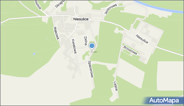 Niesulice, Spacerowa, mapa Niesulice