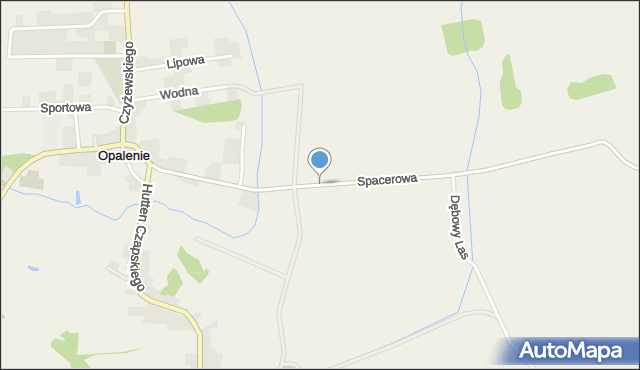Opalenie, Spacerowa, mapa Opalenie