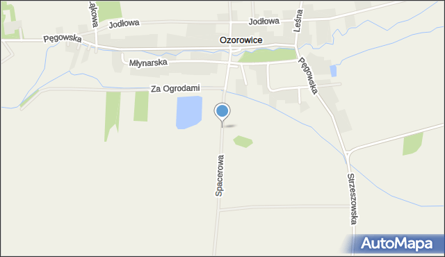 Ozorowice, Spacerowa, mapa Ozorowice