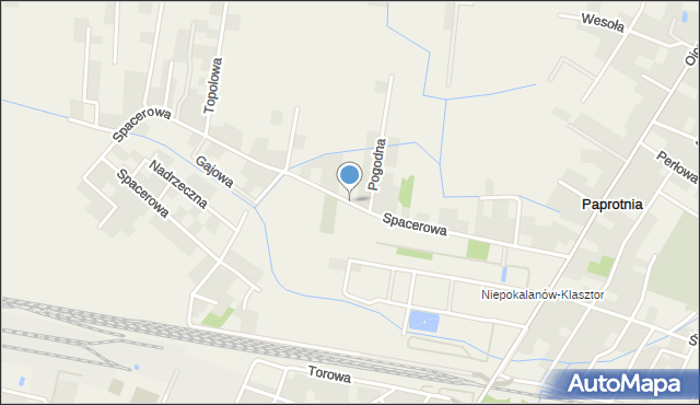 Paprotnia gmina Teresin, Spacerowa, mapa Paprotnia gmina Teresin