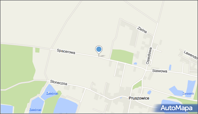 Pruszowice, Spacerowa, mapa Pruszowice