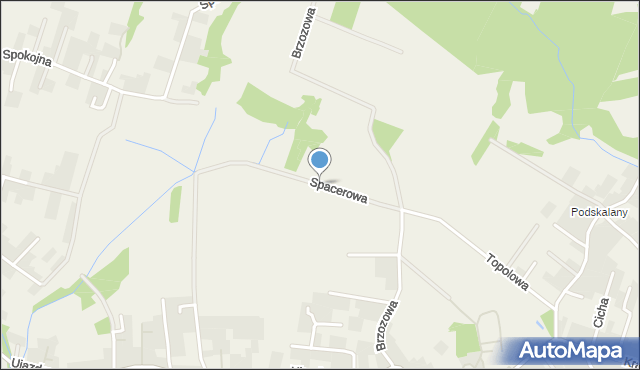 Tomaszowice gmina Wielka Wieś, Spacerowa, mapa Tomaszowice gmina Wielka Wieś