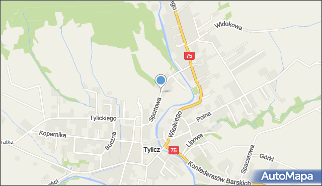 Tylicz, Sportowa, mapa Tylicz