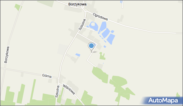 Borzykowa gmina Żytno, Strażacka, mapa Borzykowa gmina Żytno