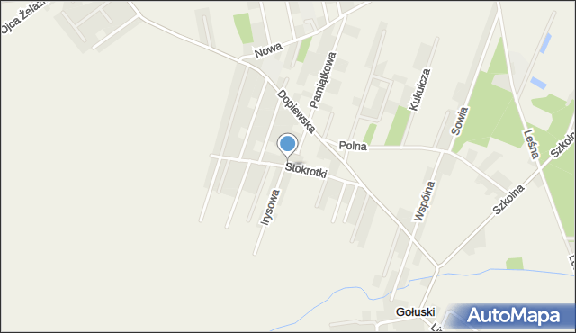 Gołuski, Stokrotki, mapa Gołuski