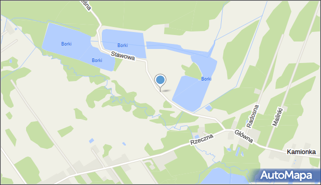 Kamionka gmina Radziejowice, Stawowa, mapa Kamionka gmina Radziejowice