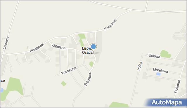 Lisowice gmina Kostomłoty, Strumykowa, mapa Lisowice gmina Kostomłoty