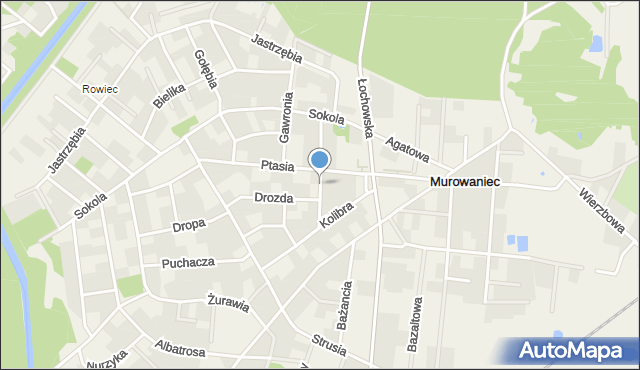 Murowaniec gmina Białe Błota, Stepowa, mapa Murowaniec gmina Białe Błota