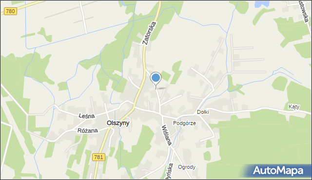 Olszyny gmina Babice, Starowiejska, mapa Olszyny gmina Babice