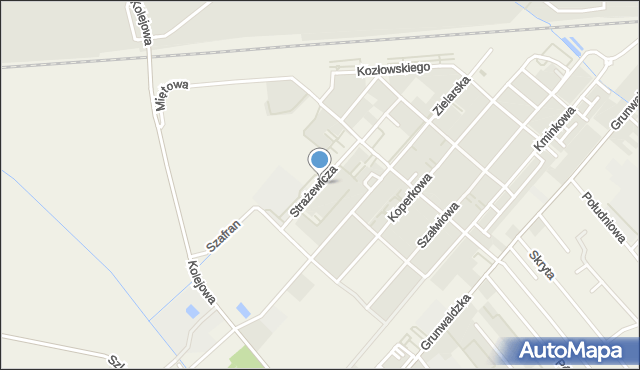 Plewiska gmina Komorniki, Strażewicza Wacława, prof., mapa Plewiska gmina Komorniki