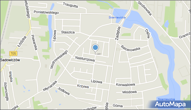 Skierniewice, Storczykowa, mapa Skierniewic