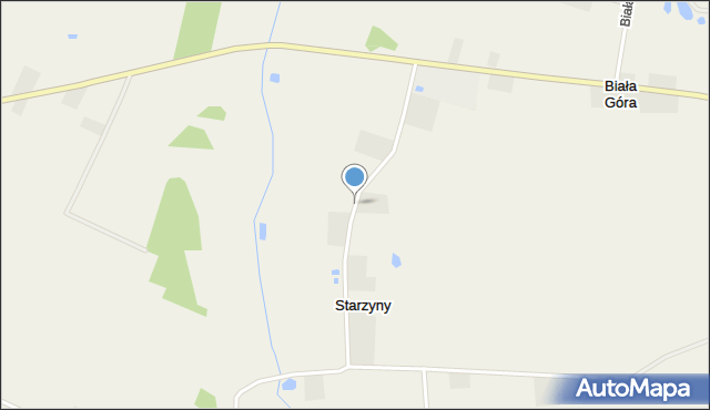 Starzyny gmina Wartkowice, Starzyny, mapa Starzyny gmina Wartkowice