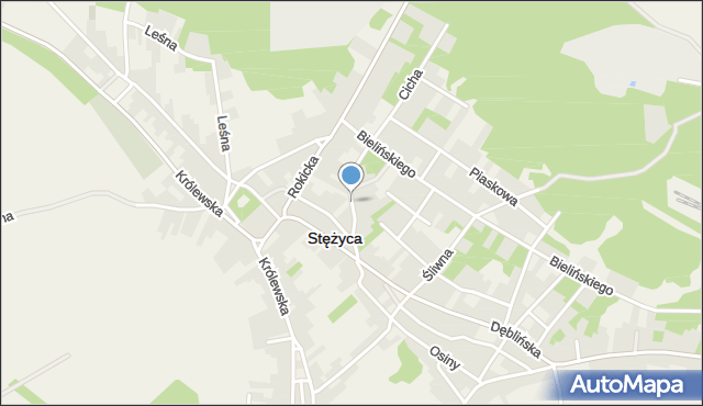 Stężyca powiat rycki, Stara, mapa Stężyca powiat rycki