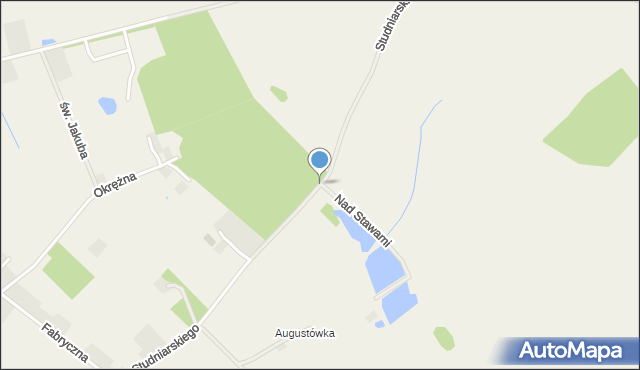 Wierzenica, Studniarskiego Wincentego, ks., mapa Wierzenica