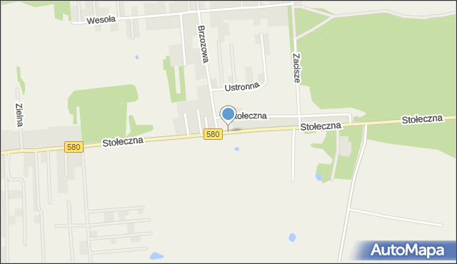 Zaborówek gmina Leszno, Stołeczna, mapa Zaborówek gmina Leszno