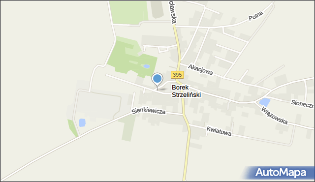 Borek Strzeliński, św. Floriana, mapa Borek Strzeliński