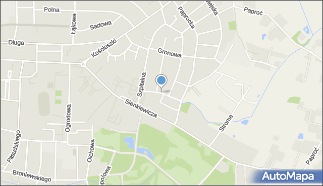 Nowy Tomyśl, Świerkowa, mapa Nowy Tomyśl