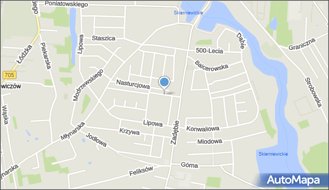 Skierniewice, św. s. Faustyny Kowalskiej, mapa Skierniewic