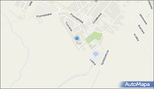 Skórzewo gmina Dopiewo, Świetlika, mapa Skórzewo gmina Dopiewo