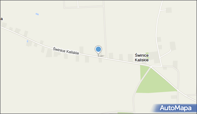 Świnice Kaliskie, Świnice Kaliskie, mapa Świnice Kaliskie