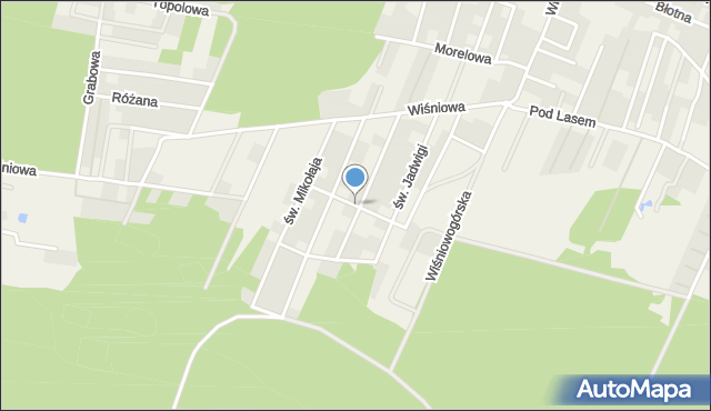 Wilkszyn, św. Jacka, mapa Wilkszyn