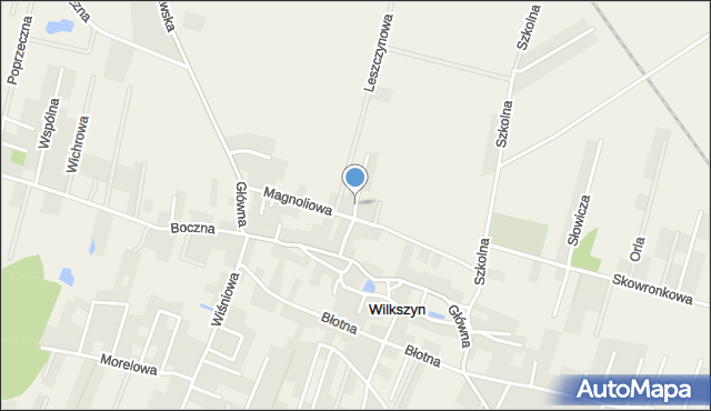 Wilkszyn, św. Józefa, mapa Wilkszyn