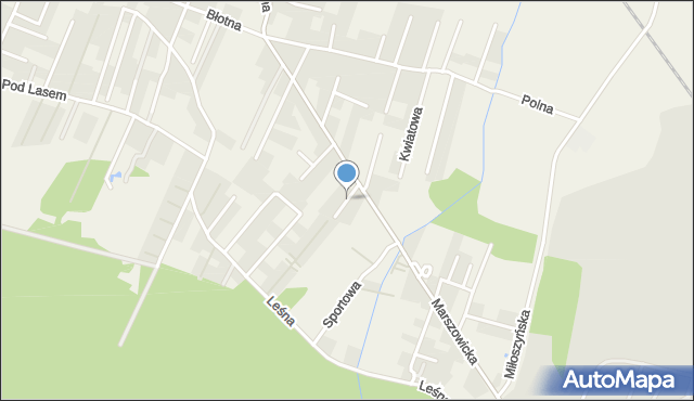 Wilkszyn, św. Kazimierza, mapa Wilkszyn