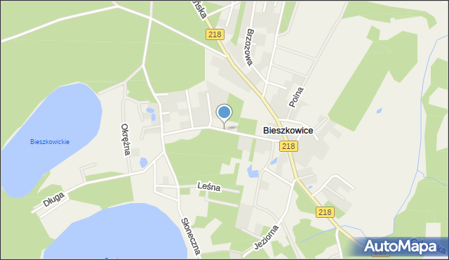 Bieszkowice, Szkolna, mapa Bieszkowice