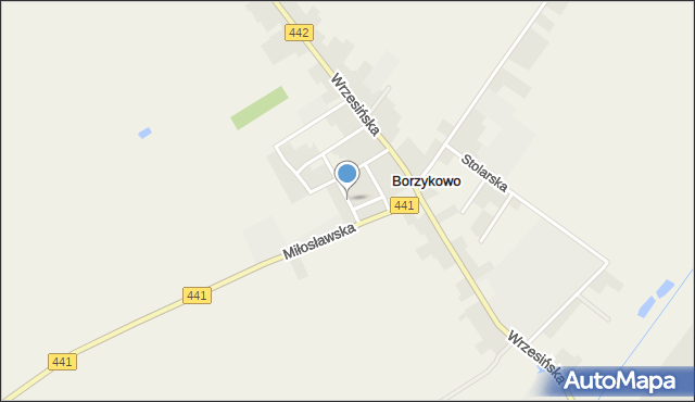 Borzykowo gmina Kołaczkowo, Szkolna, mapa Borzykowo gmina Kołaczkowo