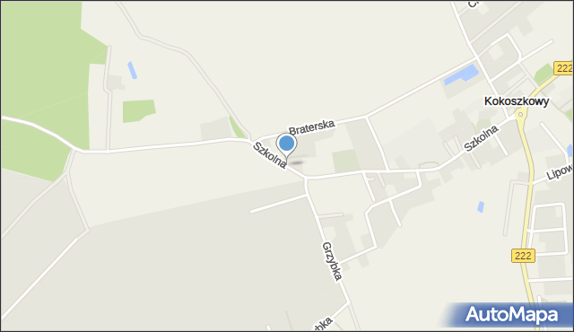 Kokoszkowy, Szkolna, mapa Kokoszkowy