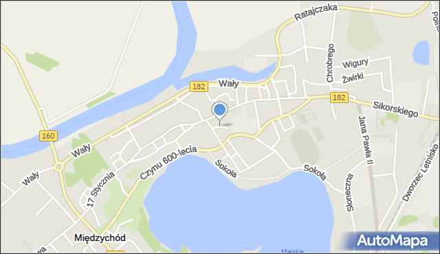 Międzychód, Szkolna, mapa Międzychód